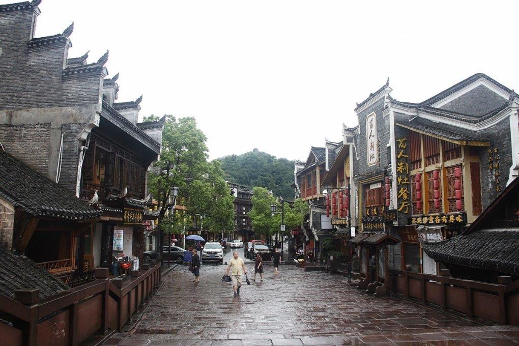 救援受困的老虎